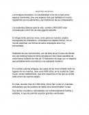 ARQUETIPOS ANCENTRALES