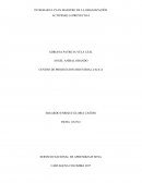 Integrar el plan maestro de la organizacion