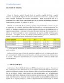 Trabajo análisis campito. Análisis Patrimonial.