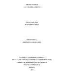 Diagnóstico del Área de Práctica Marketing y Auspicios