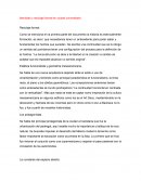 Identidad y reciclaje formal en ciudad universitaria