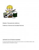 SISTEMA DE ACTIVIDAD HUMANA.