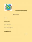 Tarea 1.4. Ensayo Bienes & Sucesiones