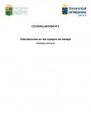 CO EVALUACION N°3 Orientaciones en los equipos de trabajo Habilidades directivas
