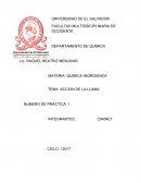 Accion de la llama, practica