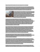 Ensayo Desarrollo Económico del sector primario de su localidad