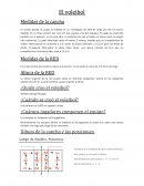 En el eje central del campo se sitúa una red de 1 m de ancho y como de 9 A 10 m de largo