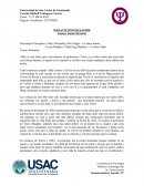 Resumen maravillo desastre.