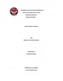 Ensayo sobre el plesbicito.