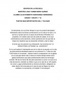 Observacion de grupos.