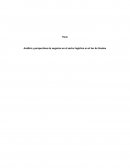 Análisis y perspectivas de negocios en el sector logístico en el Sur de Sinaloa