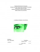 La mirada ecologica.