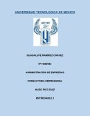 Consultoria empresarial.