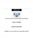 MEJORA CONTINUA DE UN PROCESO PELETIZADO