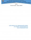GUÍA BÁSICA DE COMPRENSIÓN SOBRE LAS ONDAS TEM.