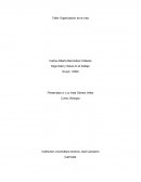 Organizacion de la vida.