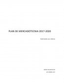 Elaboración de un plan de marketing para dentro de dos años de una empresa del sector de la panificación y repostería llamada Panificadora Lulú ubicada en Morelia, Michoacán