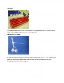 Laboratorio Ingeniería Mecanica.