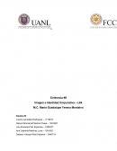Para esta actividad utilizamos las marcas Ace, Ariel y Persil. Estas son generalmente encontradas en el área de limpieza. Cada una se ha posicionado en el mercado mexicano con diferentes productos, desde el detergente líquido, el cual es el enfoque en e