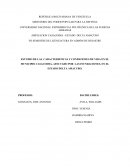 Proyectos de inundaciones.