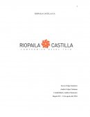 ESTADOS FINANCIEROS RIOPAILA.