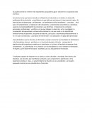 ¿Cuáles serían los criterios más importantes que pudieran guiar al docente a una práctica más humana?