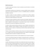 Modelo de pyme gacela