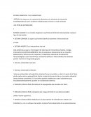SISTEMA: Un sistema es un conjunto de elementos con relaciones de interacción einterdependencia que le confieren entidad propia al formar un todo unificado