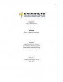 Planeación estratégica . Actividad