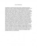 Que es el metabolismo