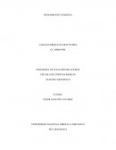 PENSAMIENTO UNADISTA