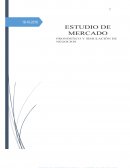 OBJETIVO DEL ESTUDIO DE MERCADO, ESTRATEGIAS DE PROMOCIÓN Y PUBLICIDAD
