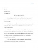 Essay about a small mexican town.