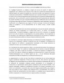 RÁCTICA 4.SENTENCIA USO DEL BURKA