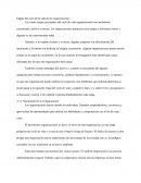 Etapas del ciclo de vida de las organización