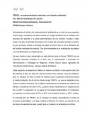 TRISOL: un emprendimiento con impacto ambiental.