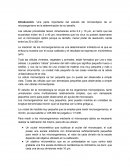 Una parte importante del estudio del microscópico de un microorganismo es la determinación de su tamaño