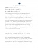 Ensayo Modernidad loquida.