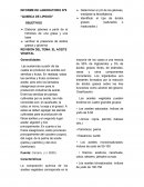 INFORME DE LABORATORIO Nª5 “QUIMICA DE LIPIDOS”
