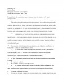 Procedimientos tomados para donativos en un bazar.