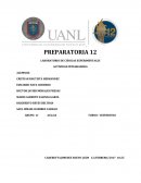 Act Integradora etapa 1 Lab experimentales.