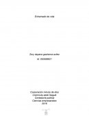 Este es el título de mi trabajo y la escogí porque me parece que cada día nos tenemos que superar para conseguir lo que necesitamos.