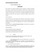 Historia y antigüedad en el rubro. Historia WOM