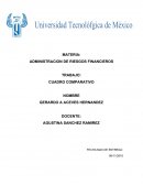 Administracion de riesgos financieros