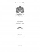 ENSAYO CRITICO WIKILEAKS.