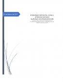 Principios del Proceso Sancionador.