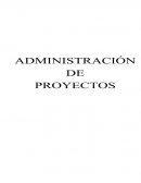 Administración de proyecos. Figuras de madera