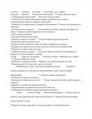 ETAPAS CARGOS FUNCION ACTIVIDAD