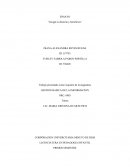 Ensayo sobre google.