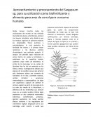 Biofertilizanteю Estructura morfológica de Sargassum sp